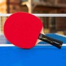 Table tennis is a popular indoor sport that can be enjoyed by people of all ages and abilities